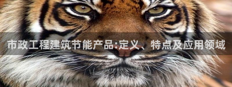e尊国际官网app：市政工程建筑节能产品:定义、特点及应用领域