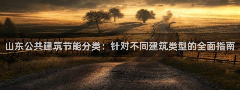 e尊国际官方网站：山东公共建筑节能分类：针对不同建筑类型的全面指南