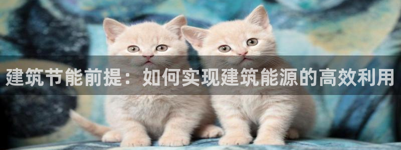e尊国际客户端下载：建筑节能前提：如何实现建筑能源的高效利用
