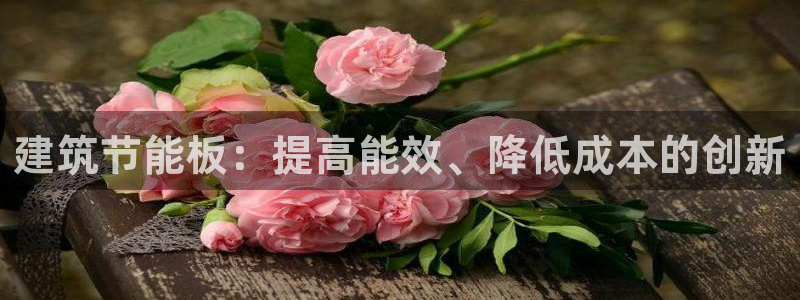 e尊体育：建筑节能板：提高能效、降低成本的创新