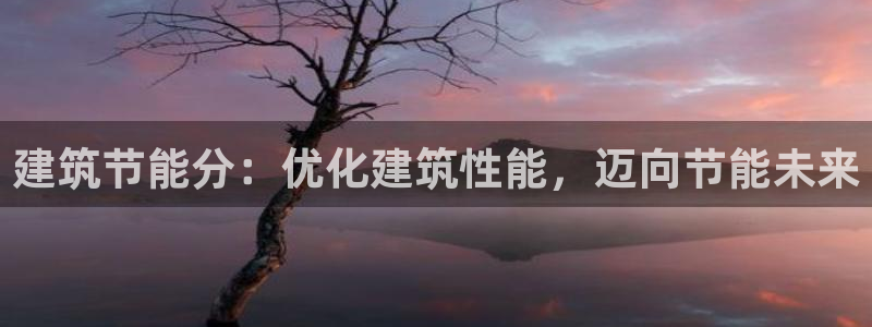 e尊国际-可可计划：建筑节能分：优化建筑性能，迈向节能未来