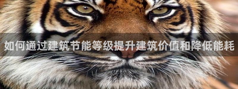 e尊国际官方网站：如何通过建筑节能等级提升建筑价值和降低能耗
