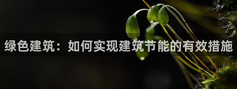 e尊国际娱乐官网地址：绿色建筑：如何实现建筑节能的有效措施
