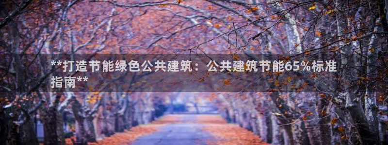 e尊国际平台：**打造节能绿色公共建筑：公共建筑节能65%标准
指南**