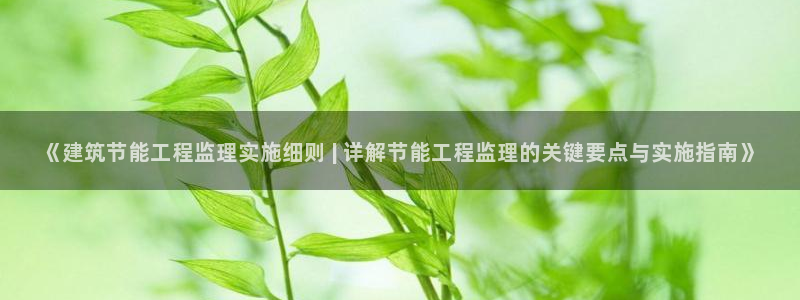 e尊国际娱乐官网地址：《建筑节能工程监理实施细则 | 详解节能工程监理的关键要点与实施指南》