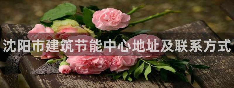 e尊国际平台：沈阳市建筑节能中心地址及联系方式