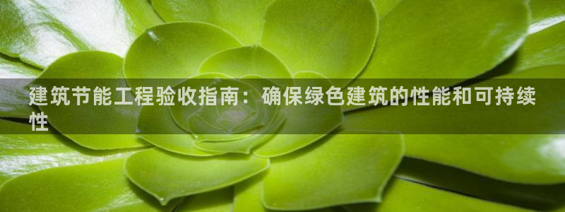 e尊国际平台：建筑节能工程验收指南：确保绿色建筑的性能和可持续
性