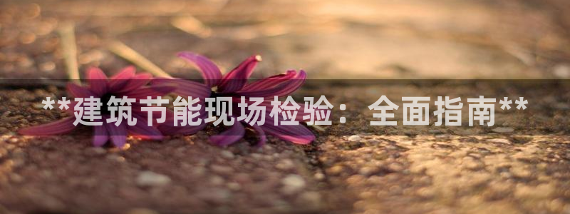 e尊平台：**建筑节能现场检验：全面指南**
