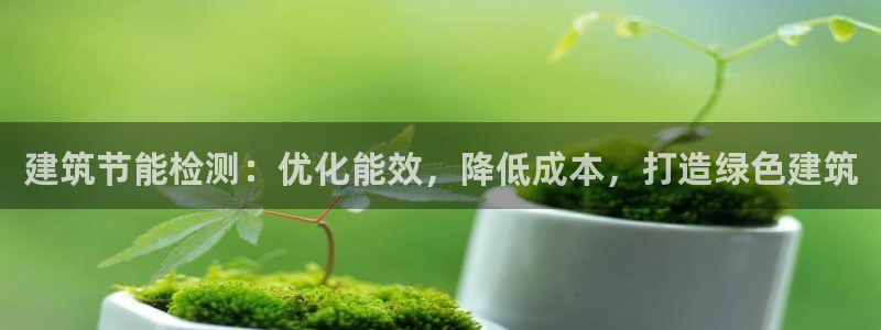 尊亿娱乐国际官网：建筑节能检测：优化能效，降低成本，打造绿色建筑