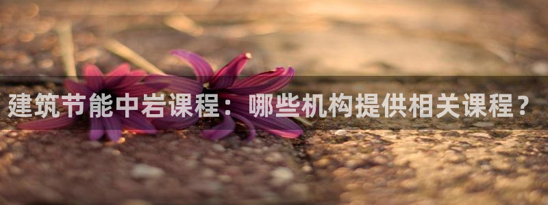 e尊国际是个黑网：建筑节能中岩课程：哪些机构提供相关课程？