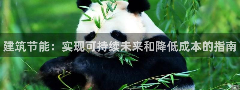 E尊国际网站：建筑节能：实现可持续未来和降低成本的指南