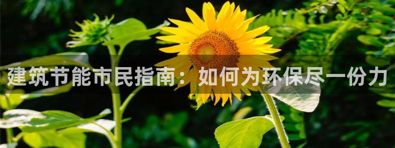 e尊国际官方网站：建筑节能市民指南：如何为环保尽一份力