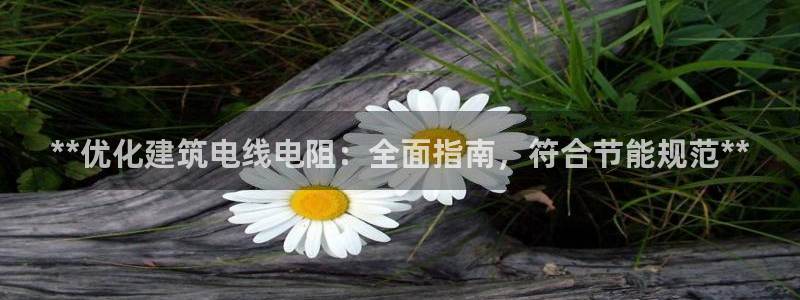 谁知道e尊国际的网址：**优化建筑电线电阻：全面指南，符合节能规范**