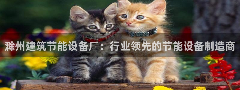 e尊国际的手机登录网站：滁州建筑节能设备厂：行业领先的节能设备制造商