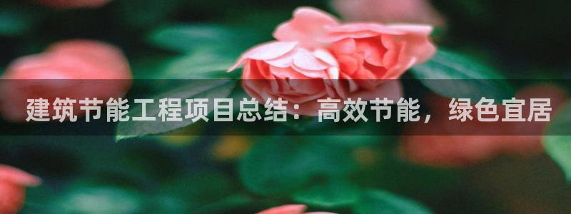 e尊体育： 建筑节能工程项目总结：高效节能，绿色宜居
