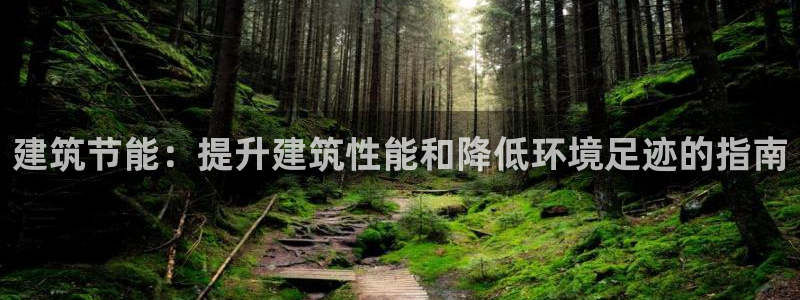 e尊国际平台：建筑节能：提升建筑性能和降低环境足迹的指南