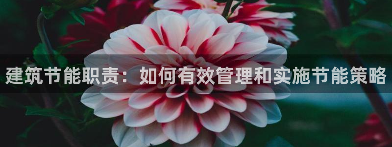 e尊国际-e尊国际官网：建筑节能职责：如何有效管理和实施节能策略