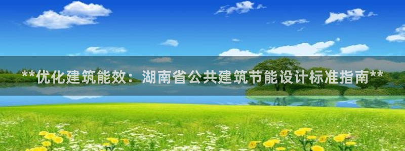 e尊国际的手机登录网站：**优化建筑能效：湖南省公共建筑节能设计标准指南**