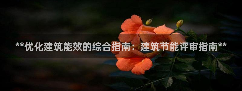 e尊国际客户端下载：**优化建筑能效的综合指南：建筑节能评审指南**