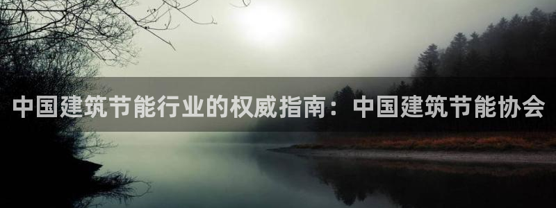 e尊国际是干什么的：中国建筑节能行业的权威指南：中国建筑节能协会