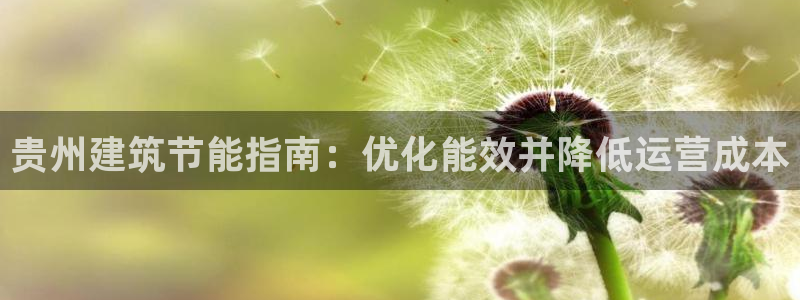 e尊国际客户端下载：贵州建筑节能指南：优化能效并降低运营成本