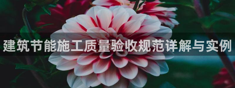 e尊国际app：建筑节能施工质量验收规范详解与实例
