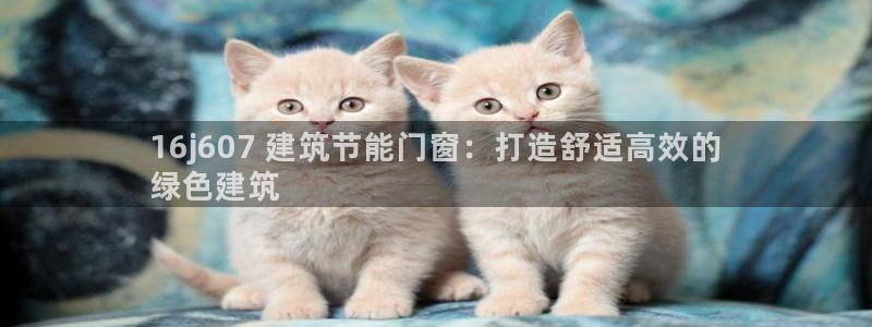 e尊国际是个黑网：16j607 建筑节能门窗：打造舒适高效的
绿色建筑