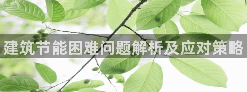 e尊国际可靠吗：建筑节能困难问题解析及应对策略