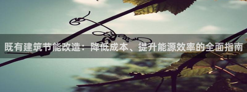 e尊国际地址：既有建筑节能改造：降低成本、提升能源效率的全面指南