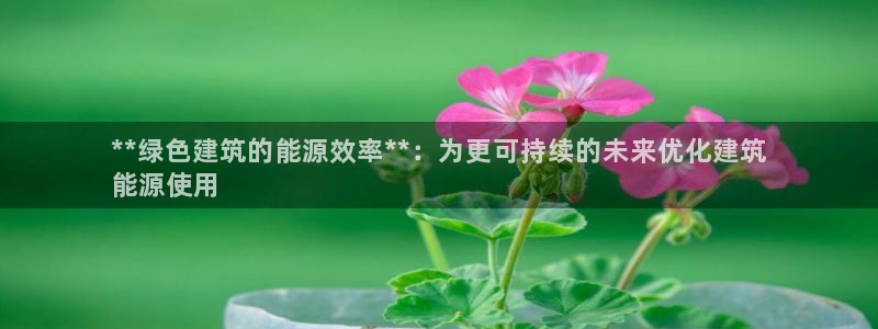 e尊国际平台：**绿色建筑的能源效率**：为更可持续的未来优化建筑
能源使用
