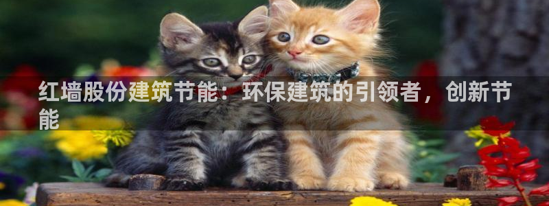 e尊国际官网·网址：红墙股份建筑节能：环保建筑的引领者，创新节
能