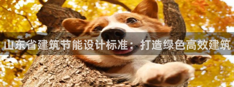 e尊国际官方网站：山东省建筑节能设计标准：打造绿色高效建筑