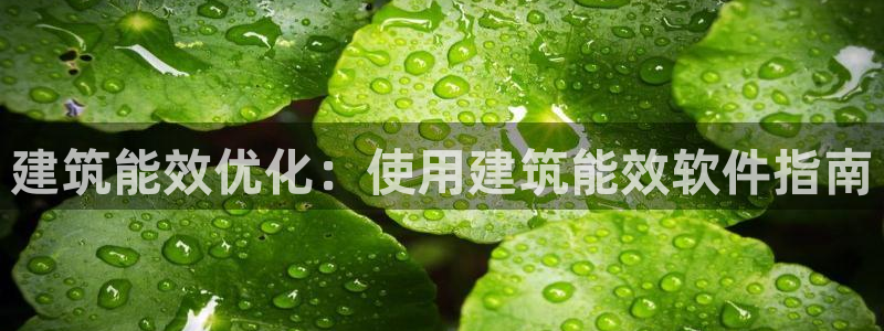 e尊国际官网·网址：建筑能效优化：使用建筑能效软件指南