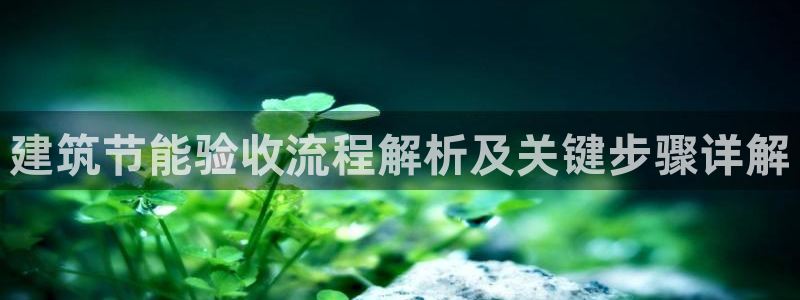 e尊国际娱乐官网下载：建筑节能验收流程解析及关键步骤详解